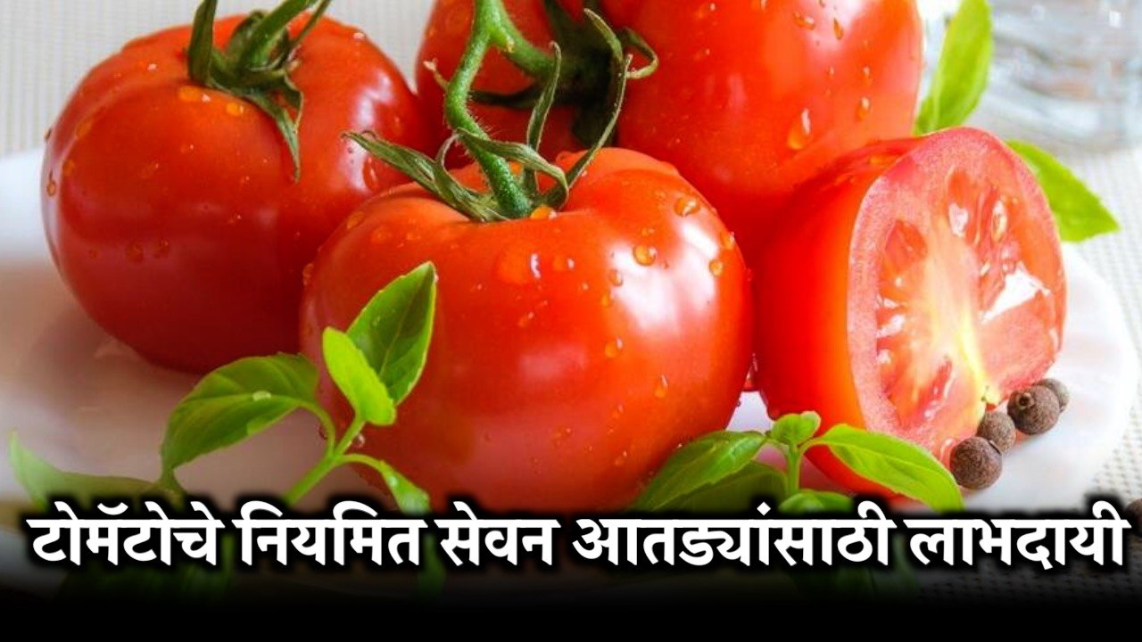 Toamto Benefits for Health: आहारात नियमित टोमॅट...