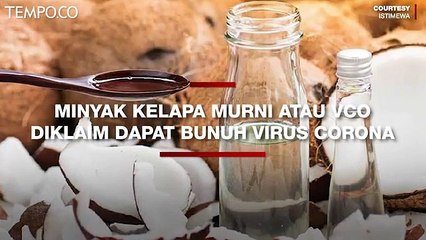 Minyak Kelapa Murni atau VCO Diklaim Dapat Bunuh Virus Corona