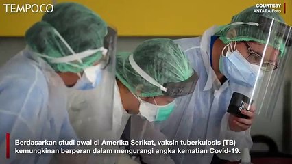 Vaksin TB Disebut Bisa Kurangi Tingkat Kematian Covid-19
