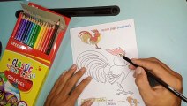 Mewarnai Hewan Ayam Jago ( Rooster )