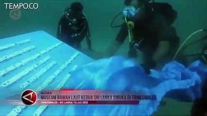 Menyelam Melihat Museum di Kedalaman Laut Sri Lanka