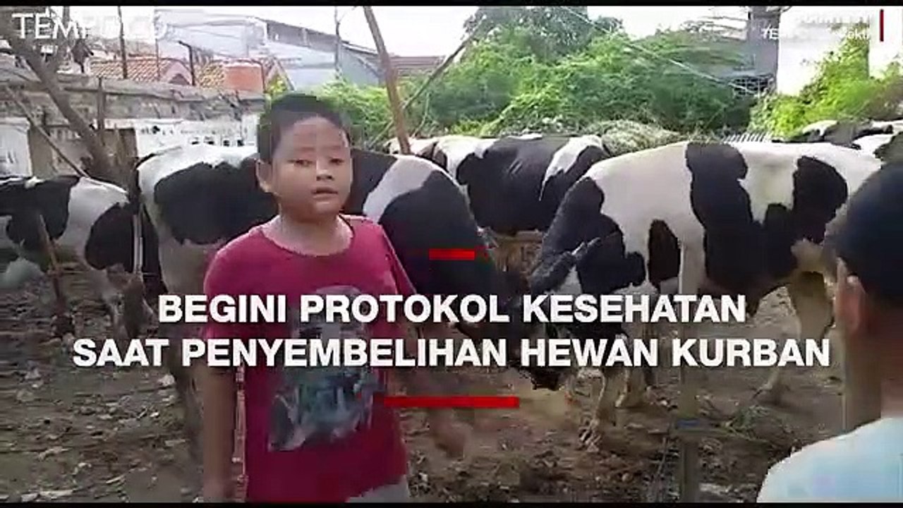 Begini Protokol Kesehatan Saat Penyembelihan Hewan Kurban