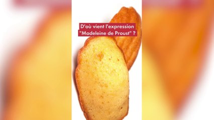 D'où vient l'expression Madeleine de Proust ?