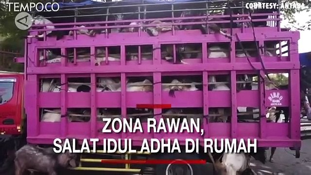 MUI Sebut Warga di Zona Rawan COVID-19, Salat Idul Adha di Rumah Saja