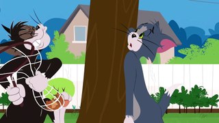 Tom and Jerry - Tom Vs Butch - WB Kids