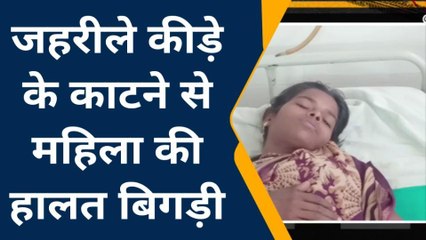 चित्रकूट: जहरीले कीड़े के काटने से महिला की हालत खराब,देखे पूरी खबर