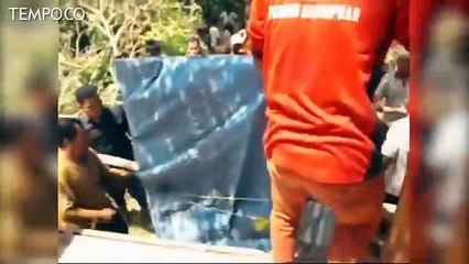Masuk ke Permukiman Warga, Harimau Sumatera Ditangkap BBKSDA