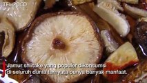 7 Manfaat Jamur Shiitake untuk Imunitas hinggga Cegah Obesitas