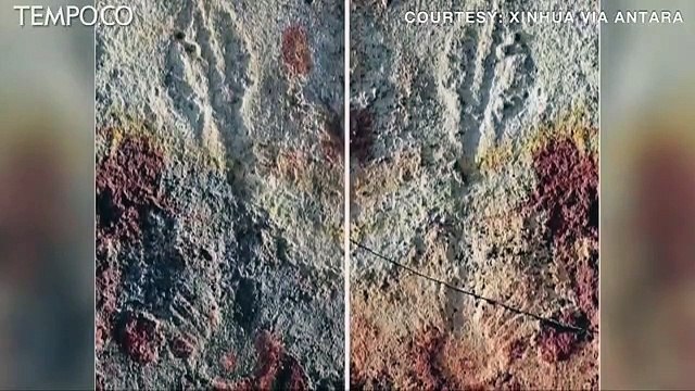 Arkeolog Temukan Fosil Berumur 550 Juta Tahun di Hulu Sungai Yangtze