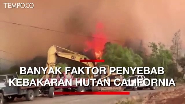 Ini Sejumlah Faktor Penyebab Kebakaran Hutan di California AS