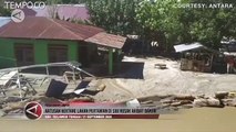 Banjir Lumpur Terjang Ratusan Hektare Lahan Pertanian di Sigi