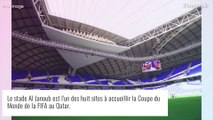 Coupe du monde au Qatar : une personnalité française boycotte l'évènement et partage une image choc