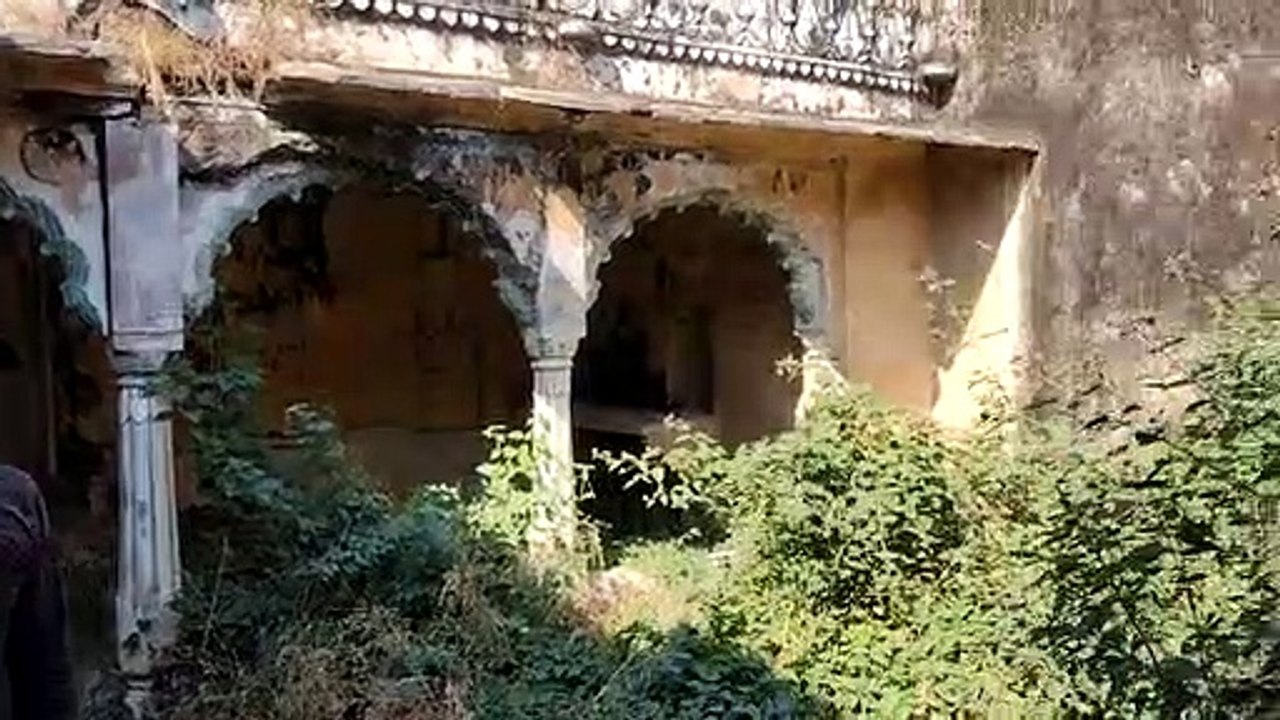 Update News: नांता में पैंथर की दहशत, मंदिर व सामुदायिक भवन में लगेंगी बच्चों की कक्षाएं