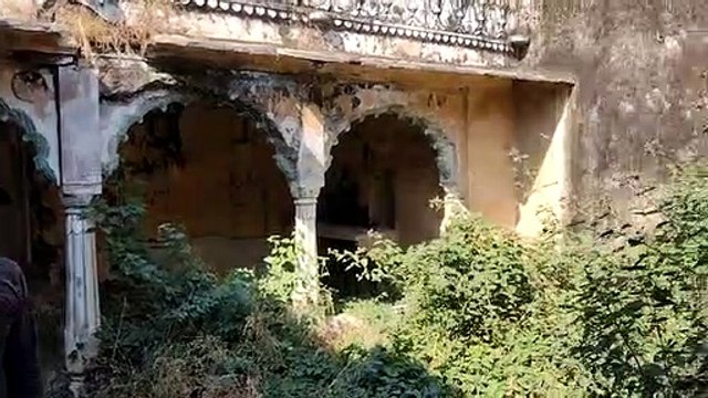 Update News: नांता में पैंथर की दहशत, मंदिर व सामुदायिक भवन में लगेंगी बच्चों की कक्षाएं