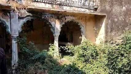Update News: नांता में पैंथर की दहशत, मंदिर व सामुदायिक भवन में लगेंगी बच्चों की कक्षाएं