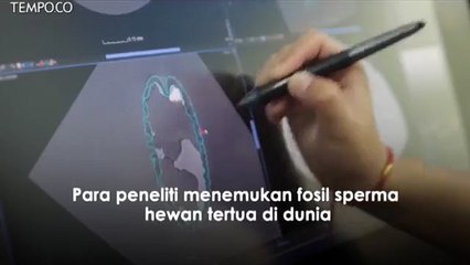 Peneliti Temukan Fosil Sperma Hewan Tertua di Dunia
