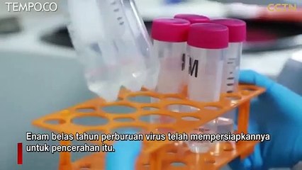 Shi Zhengli, Tokoh Berpengaruh 2020, 16 Tahun Berburu Virus ke Gua-gua Kelelawar