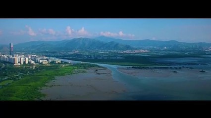 Dünyanın İlk Uluslararası Mangrov Merkezi Çin'de Kurulacak