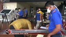 Rekayasa Pemeriksaan Penumpang di Bandara Soekarno Hatta