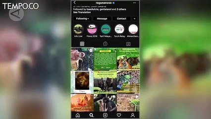 Wisata Kebun Binatang Virtual, Usir Bosan saat di Rumah Aja
