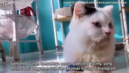 Salmafina Sunan Memposting Kucingnya yang Mati, Warganet Nyatakan Turut Sedih