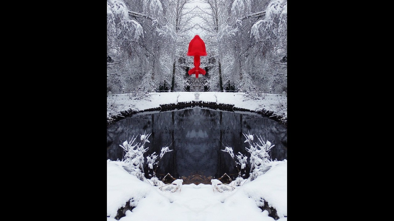 Winter dream n°1