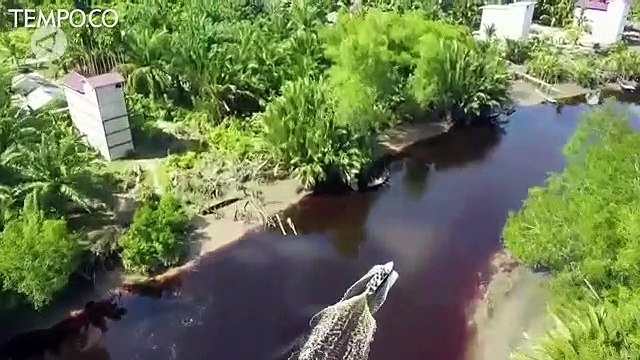 Taman Nasional Zamrud, 4 Pulau Mengapung di Atas Ladang Minyak
