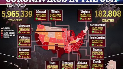 Ilmuwan AS: Tes PCR Terlalu Sensitif, Hasilnya Cuma Ya dan Tidak, Ini Akibatnya