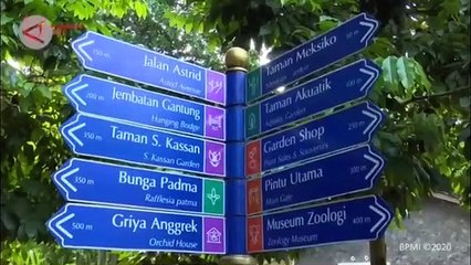 Jokowi: Pentingnya Berolahraga untuk Tingkatkan Imunitas