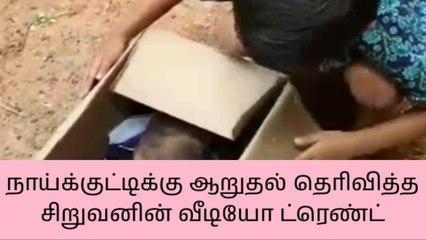 நாய் குட்டிக்கு ஆறுதல் தெரிவித்த சிறுவனின் வீடியோ ட்ரெண்ட்