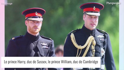 "Il est consterné par son comportement" : le prince William très déçu par Harry, il ne lui fera aucun cadeau