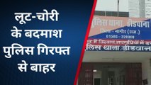 नागौर : चैन स्नैचिंग और बैग चोरी के मामले पुलिस के लिए बने चुनौती, देखिए पूरी खबर ?