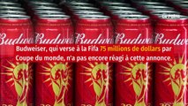 Coupe du monde 2022 : le Qatar fait volte-face sur la bière autour des stades