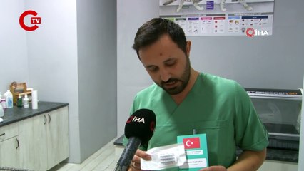 Evcil hayvanı olanlar dikkat: Son tarih 31 Aralık