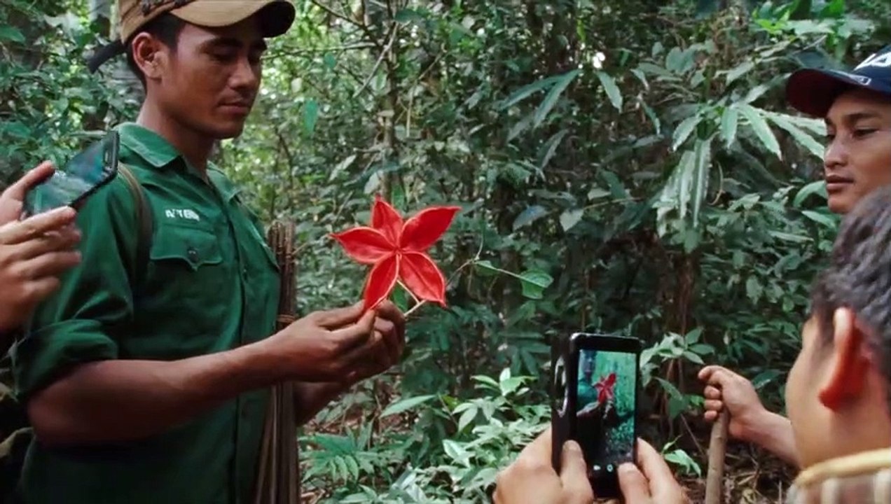 The Dust Of Modern Life Trailer OV