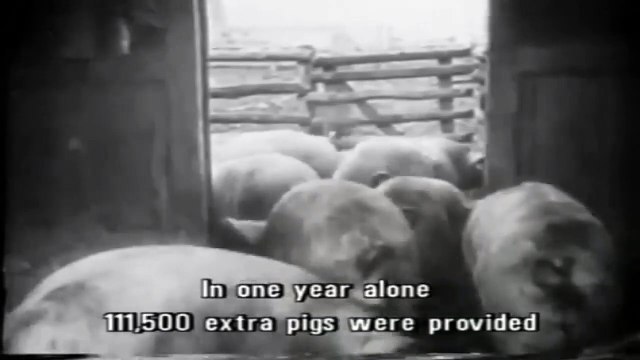 Die Deutsche Wochenschau 29 November 1939