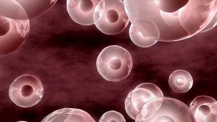 Cellule tumorali in 3d senza coloranti chimici