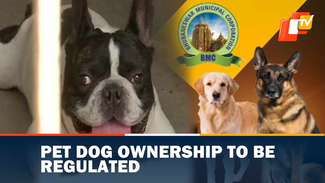 New Rules For Owning Pet Dogs Soon In Smart City Bhubaneswar! video