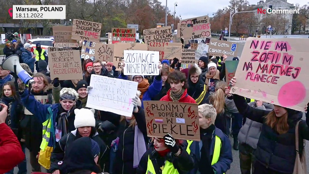 'Jugendklima-Streiks' in Polen: Hunderte junge Menschen protestieren in Warschau