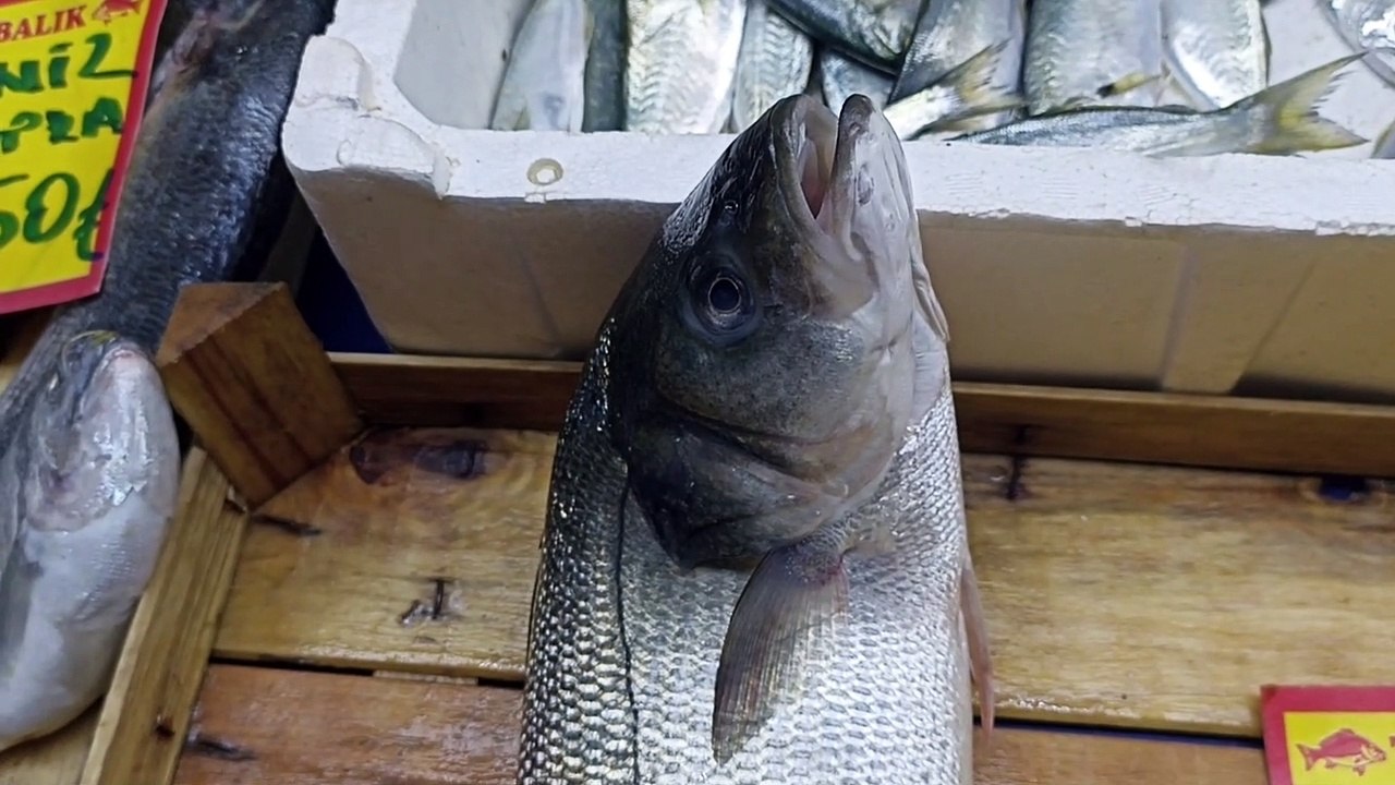 Seabass