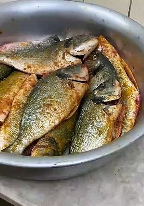 مطبق سمك