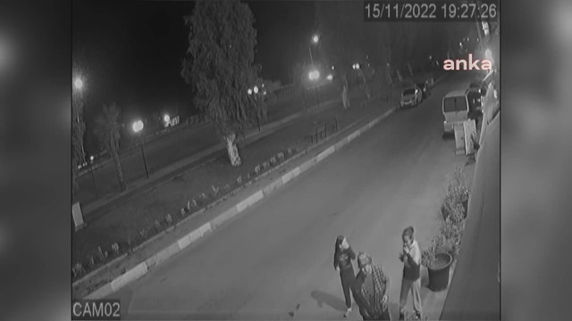 Kadına, tasmasız ve ağızlıksız gezdirilen Pitbull cinsi köpek saldırdı
