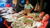 Sea Fish | Local Fish | Fish Bazar | Fish Market | Testy Fish | Amazing Fish | River Fish | Fish