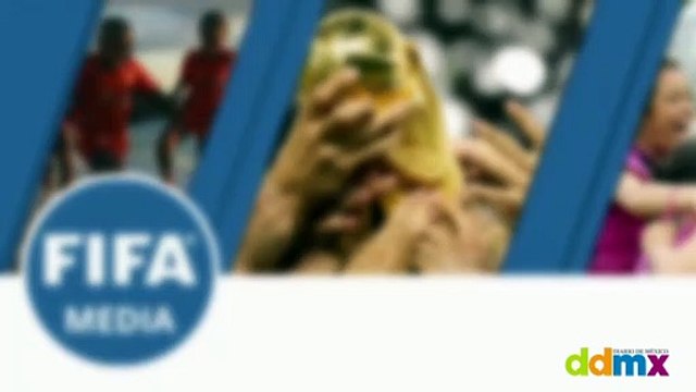 Aficionados no podrán beber cerveza en los estadios durante el Mundial de Qatar 2022