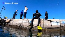Divers fish for waste to preserve Greece's Aegean shores