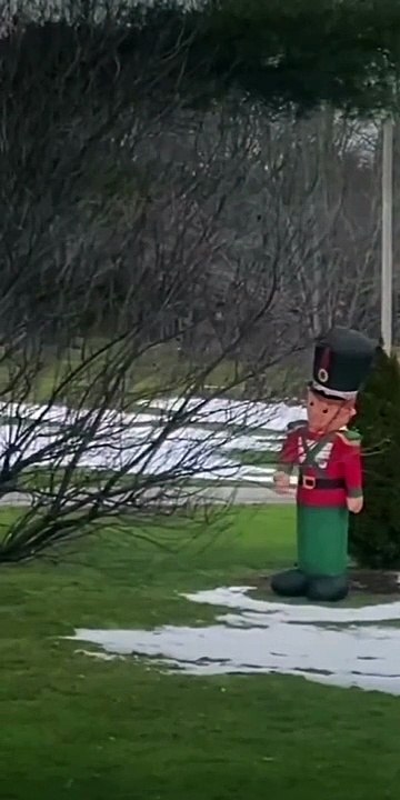 Nutcracker