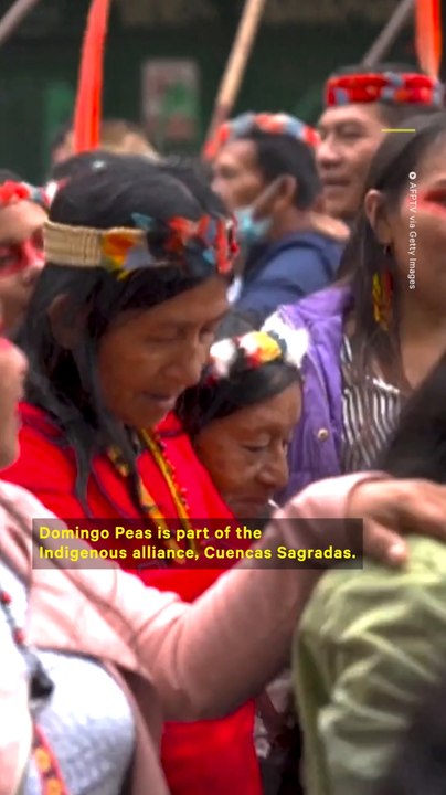 Indigenous Org Brings Protect the Amazon Proposal to COP27
