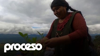 El ”boleo” cada vez más popular en Bolivia