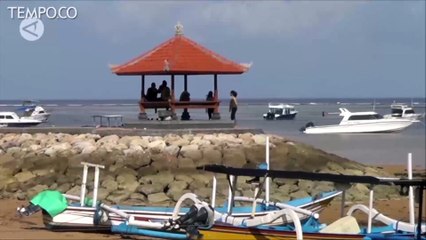 Bangkai Paus Sperma Terapung di Perairan Bali