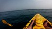 Kayaker films breathtaking close encounter with humpback whale and her calf